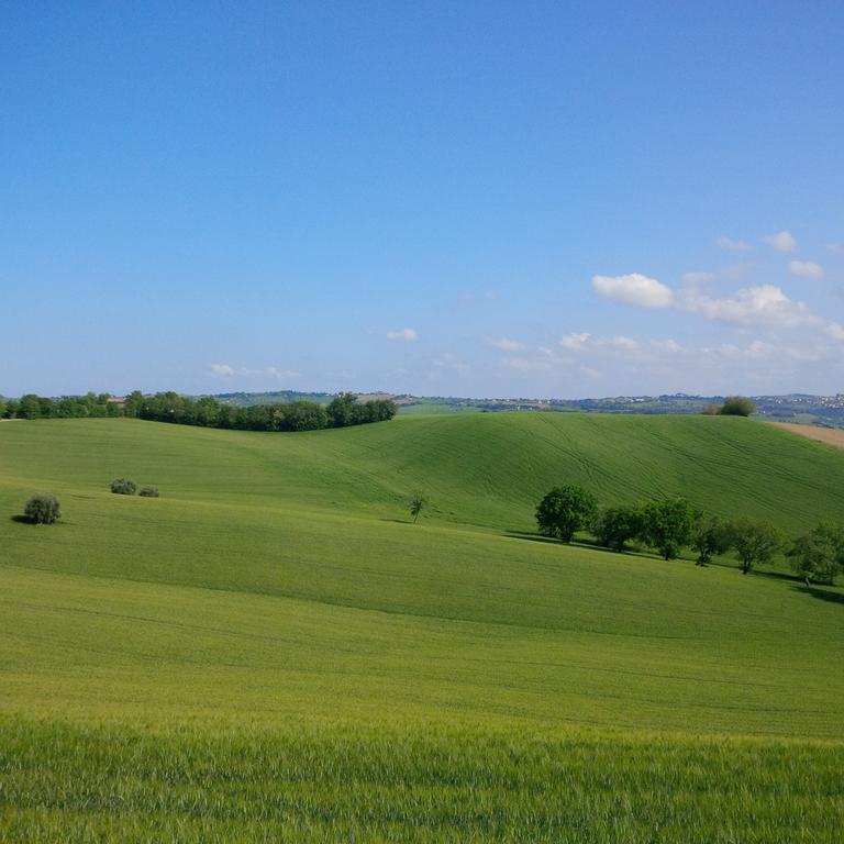 Solea Albergo Di Campagna Trecastelli Zewnętrze zdjęcie